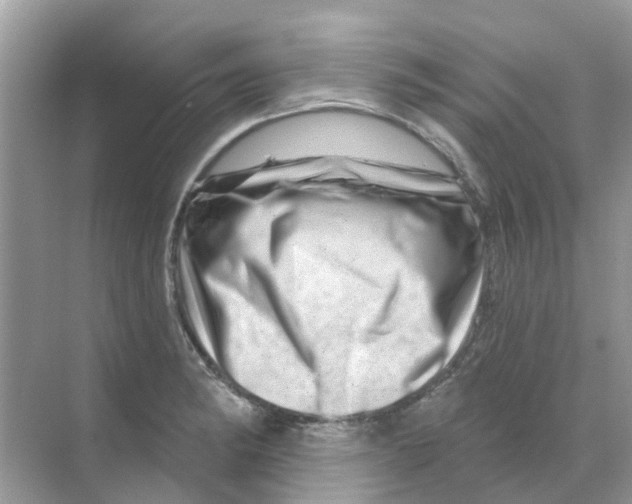 X0000070181182200606231939
