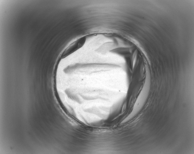 X0000070181187200606231939
