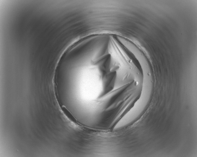 X0000070181189200606231939
