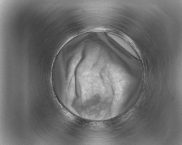 X0000070181194200606231939