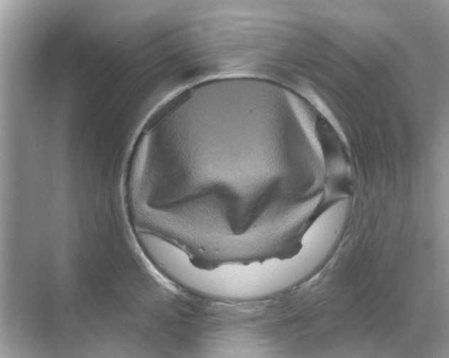 X0000070181197200606231939