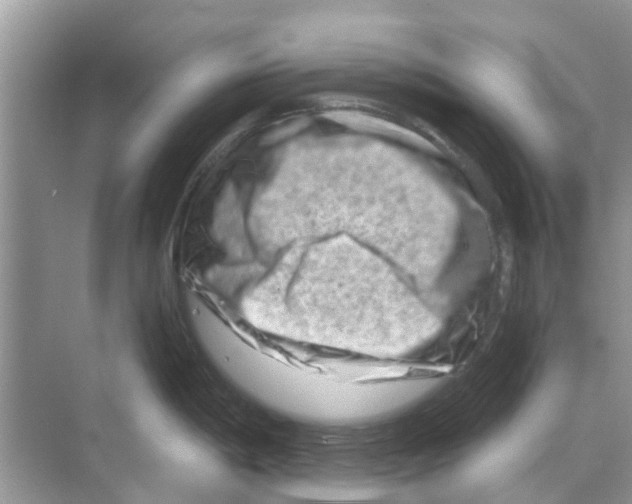 X0000070181198200606231938