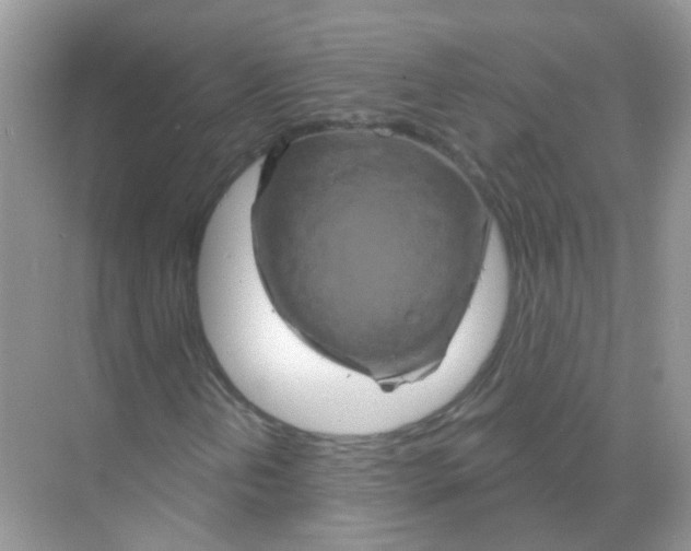 X0000070181202200606231938