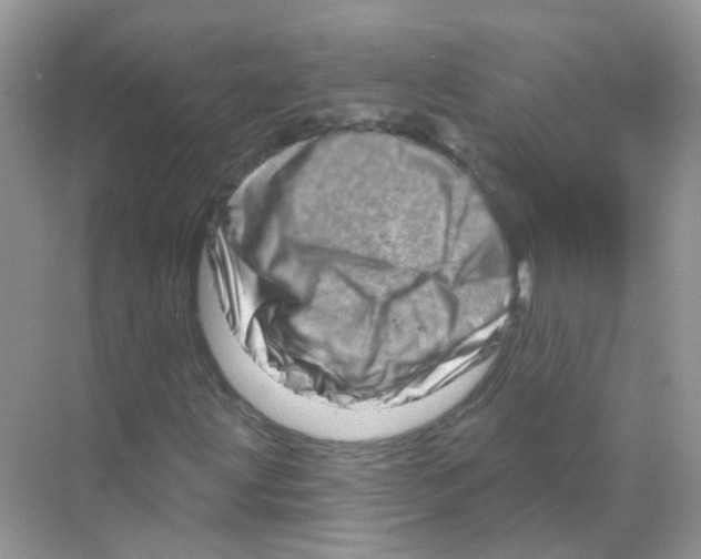 X0000070181203200606231938