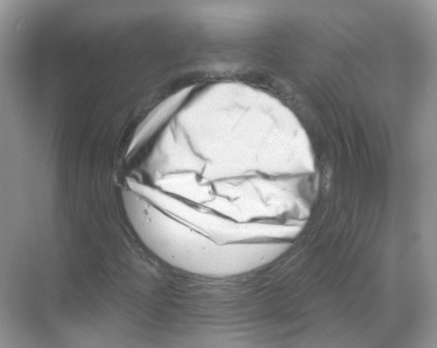 X0000070181204200606231938