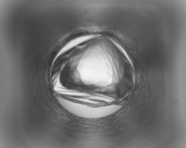 X0000070181205200606231938