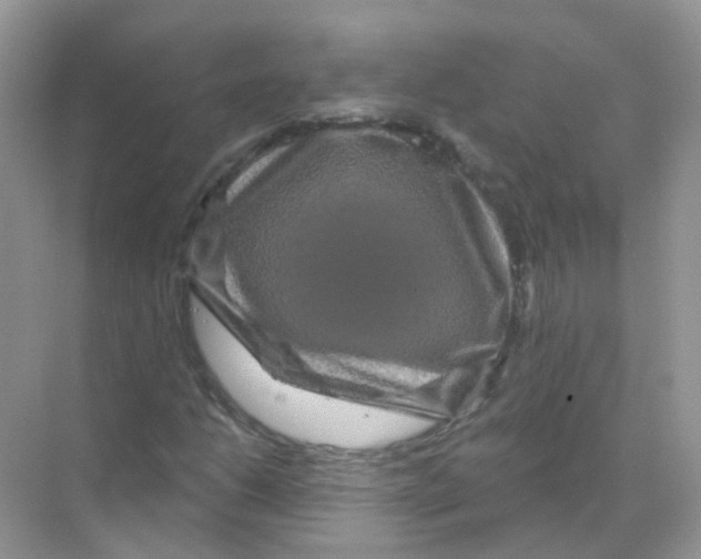 X0000070181206200606231938