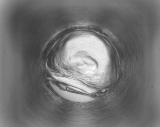 X0000070181208200606231938