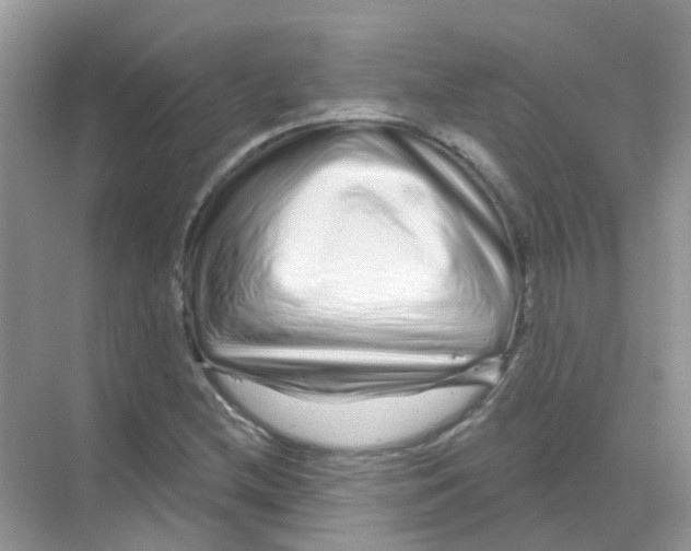 X0000070181212200606231938