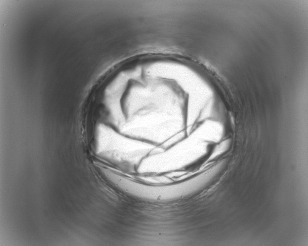 X0000070181215200606231938