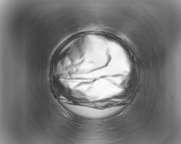 X0000070181216200606231938