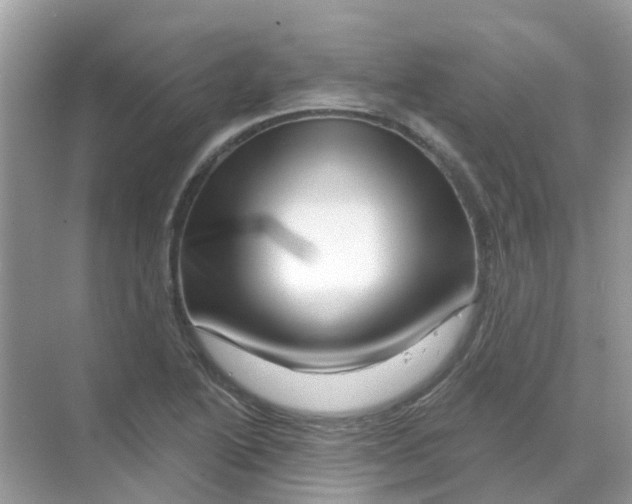 X0000070181222200606231938