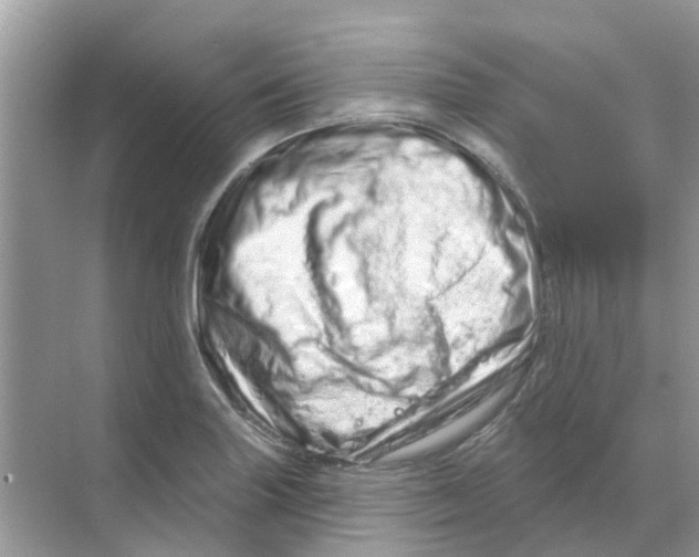 X0000070181227200606231938