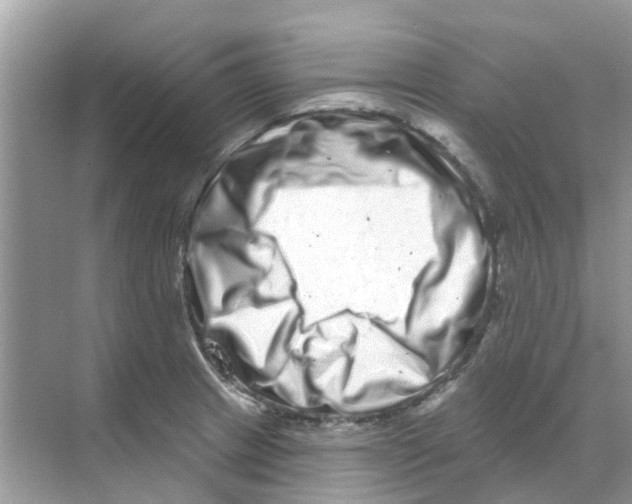 X0000070181233200606231938
