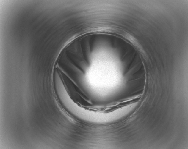 X0000070181234200606231938