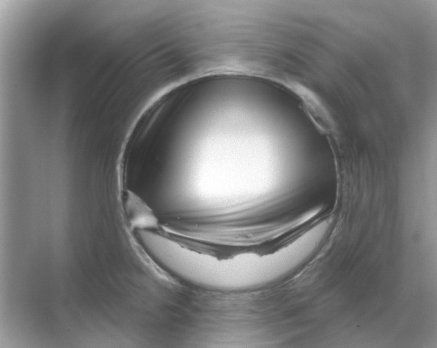 X0000070181238200606231938