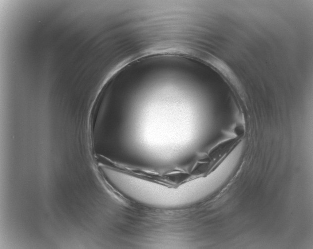 X0000070181242200606231938