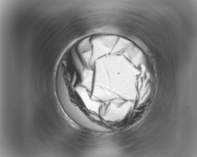 X0000070181248200606231938
