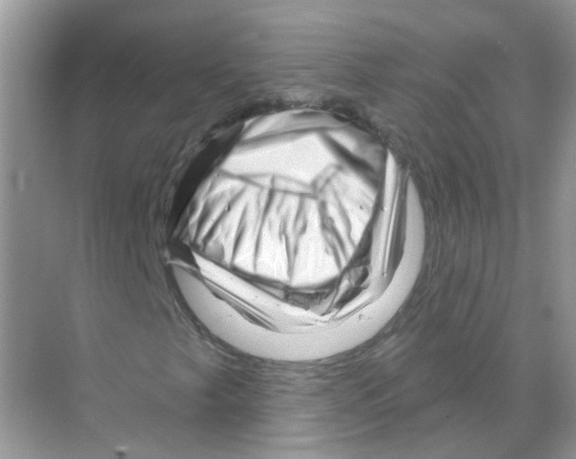 X0000070181249200606231938