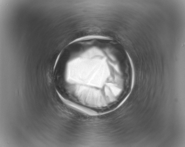 X0000070181250200606231938