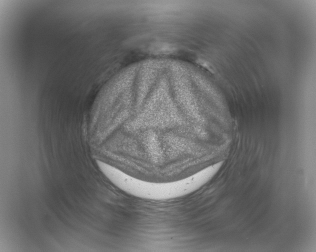 X0000070181251200606231938