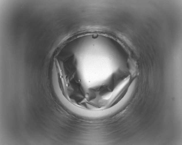 X0000070181261200606231937