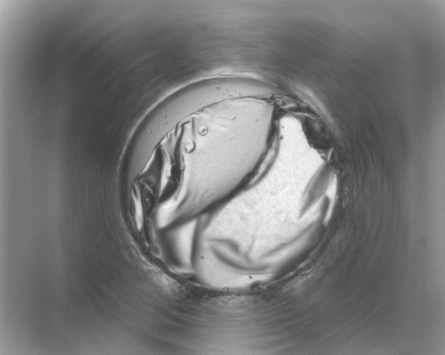 X0000070181268200606231937