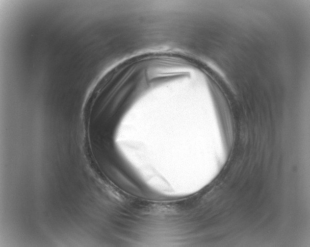 X0000070181270200606231937