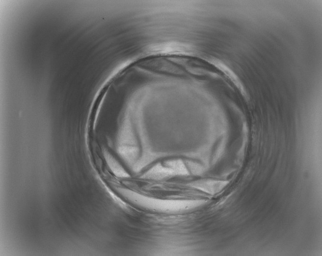X0000070181285200606231937