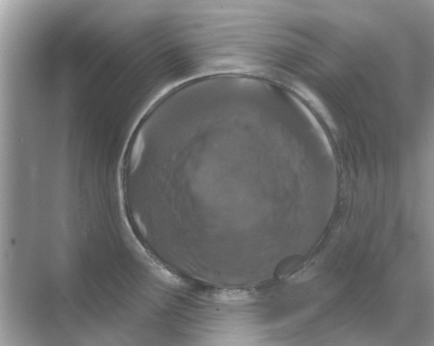 X0000070181291200606231937