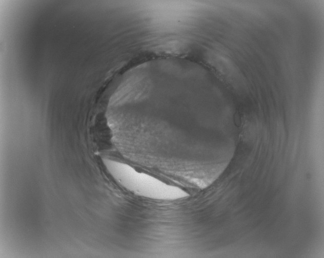 X0000070181297200606231936