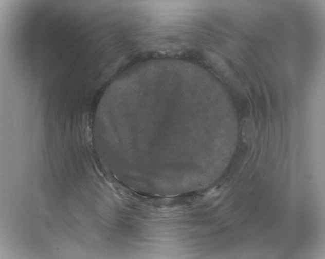 X0000070181298200606231936