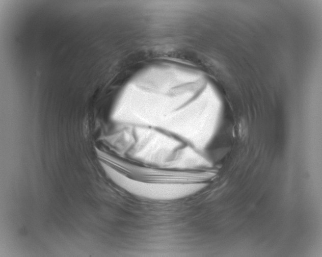 X0000070181299200606231936