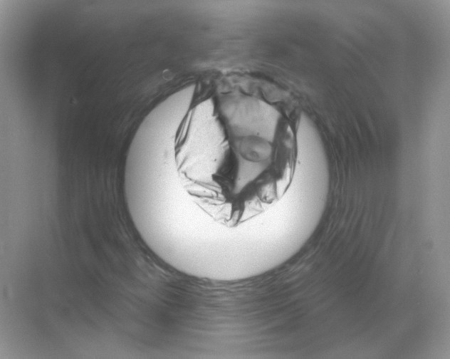 X0000070181300200606231936
