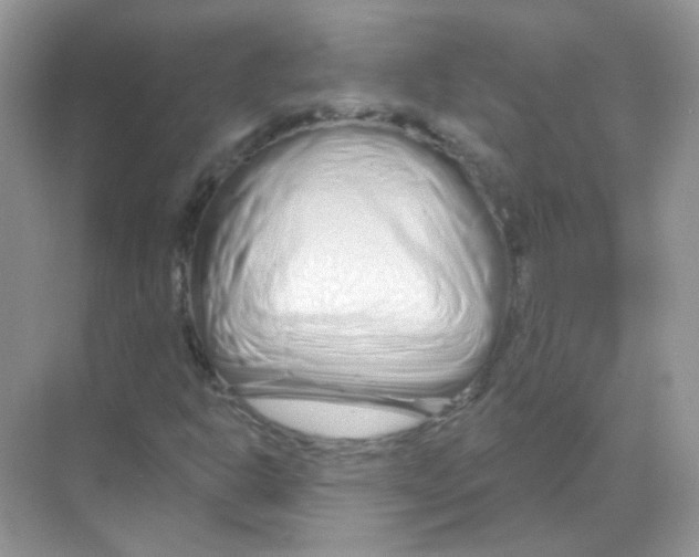 X0000070181302200606231936