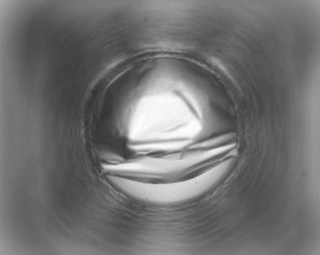X0000070181307200606231936