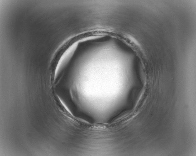 X0000070181310200606231936