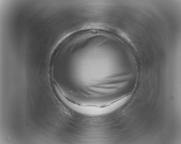 X0000070181312200606231936