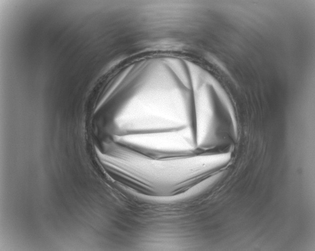 X0000070181315200606231936