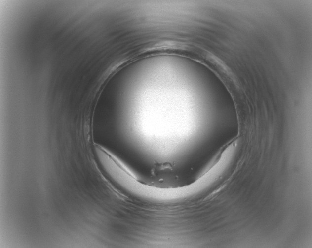 X0000070181321200606231936