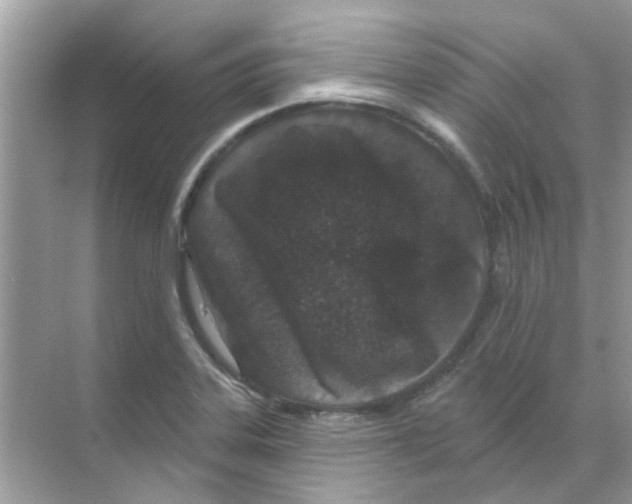 X0000070181323200606231936