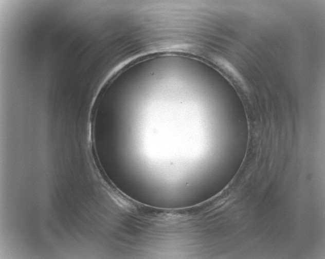 X0000070181324200606231936