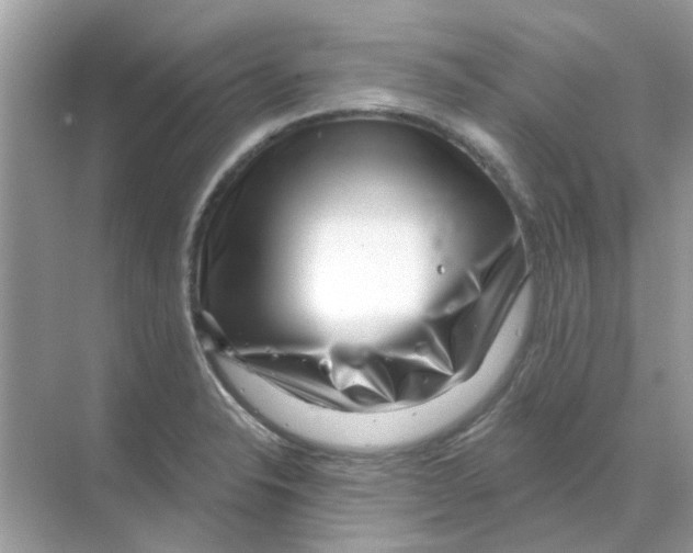 X0000070181326200606231937