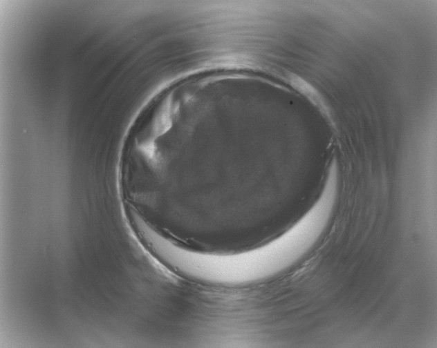 X0000070181334200606231937