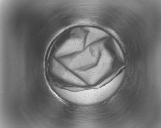 X0000070181335200606231937