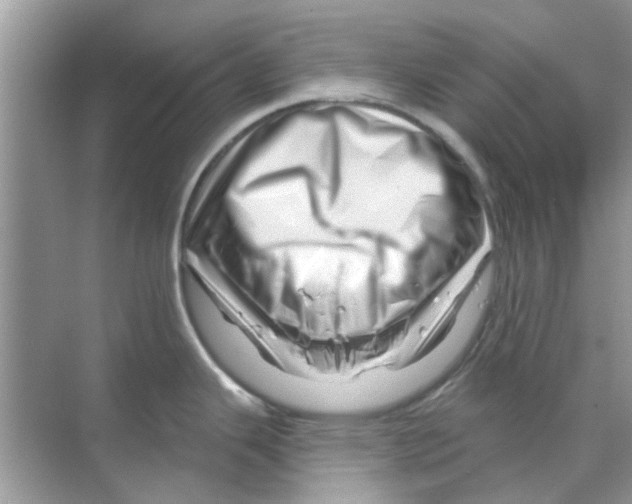 X0000070181343200606231937
