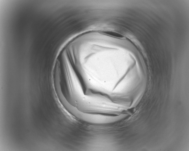 X0000070181344200606231937