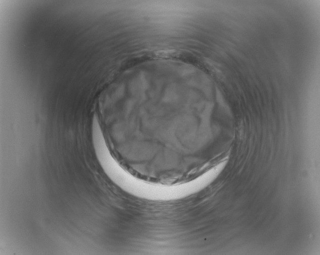 X0000070181346200606231936