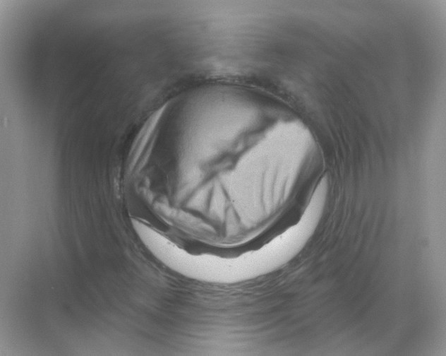 X0000070181348200606231936