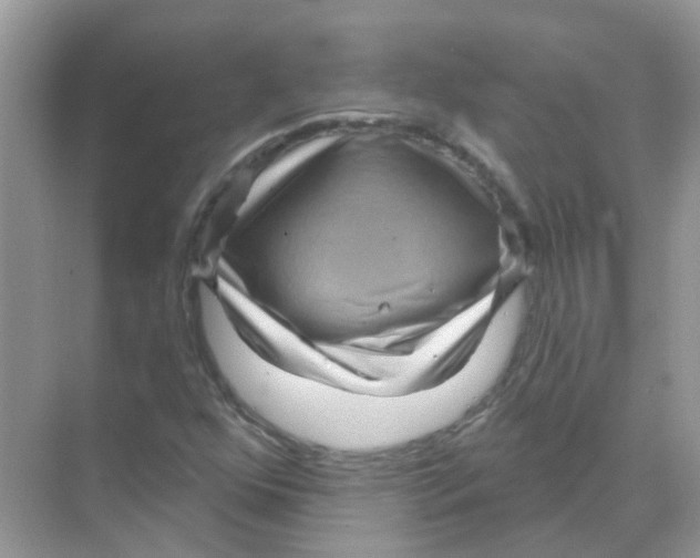 X0000070181352200606231936